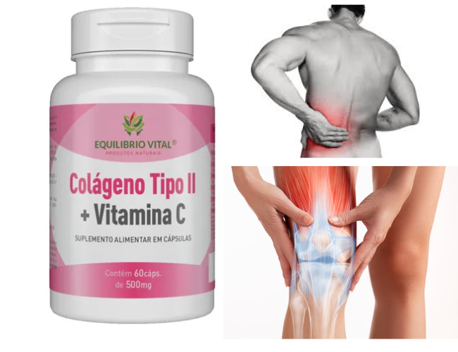 colageno tp 2 b